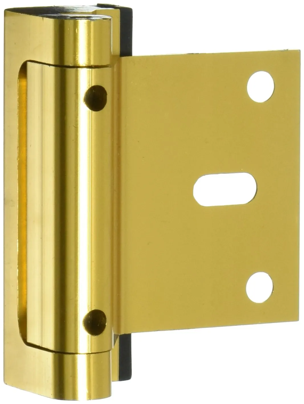 Cardinal Gates Door Guardian Home Security Door Reinforcement Lock for Inward Swinging Doors - Child Proof Lock Front Door - Extra Lock for Home from Inside - USA Based - Brass