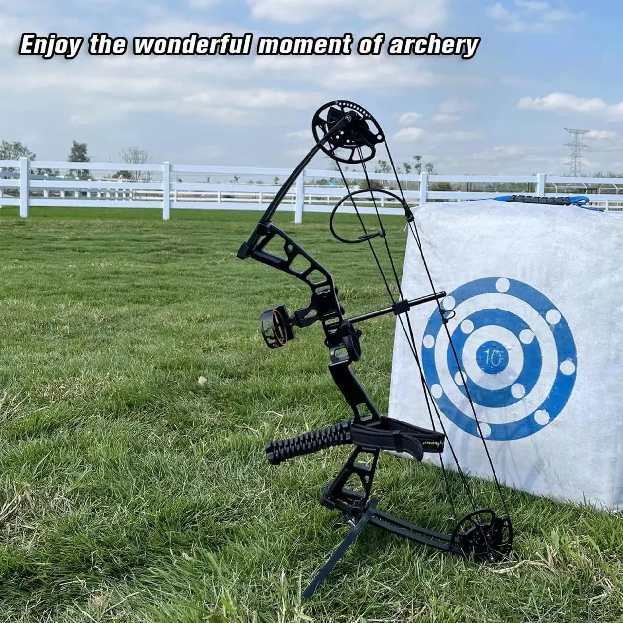 Compound Bow Set 10-40lbs for Pull Child Right Hand Lightweight Design Bow Adjustable 16"~28" Draw Length IBO 290fps New 2024 Professional Set for Youth&Kids