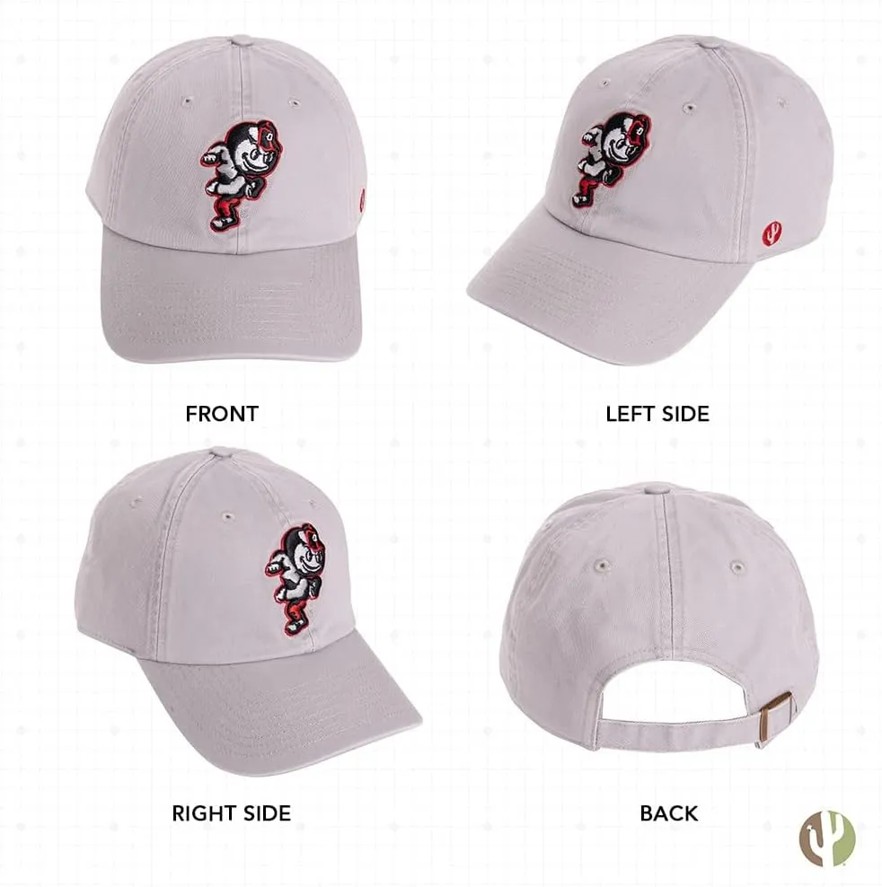 Desert Cactus Ohio State University Baseball Hat OSU Buckeyes Brimmed Embroidered Cap Adjustable Cloth Strap Adult Type B