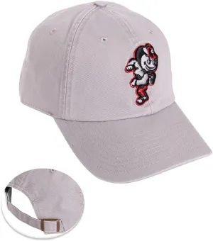 Desert Cactus Ohio State University Baseball Hat OSU Buckeyes Brimmed Embroidered Cap Adjustable Cloth Strap Adult Type B