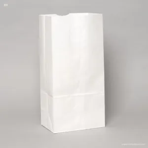 Novolex Duro Wolf Standard Flat Bottom Paper Grocery Bag White, 10 lb. | 500/Pack
